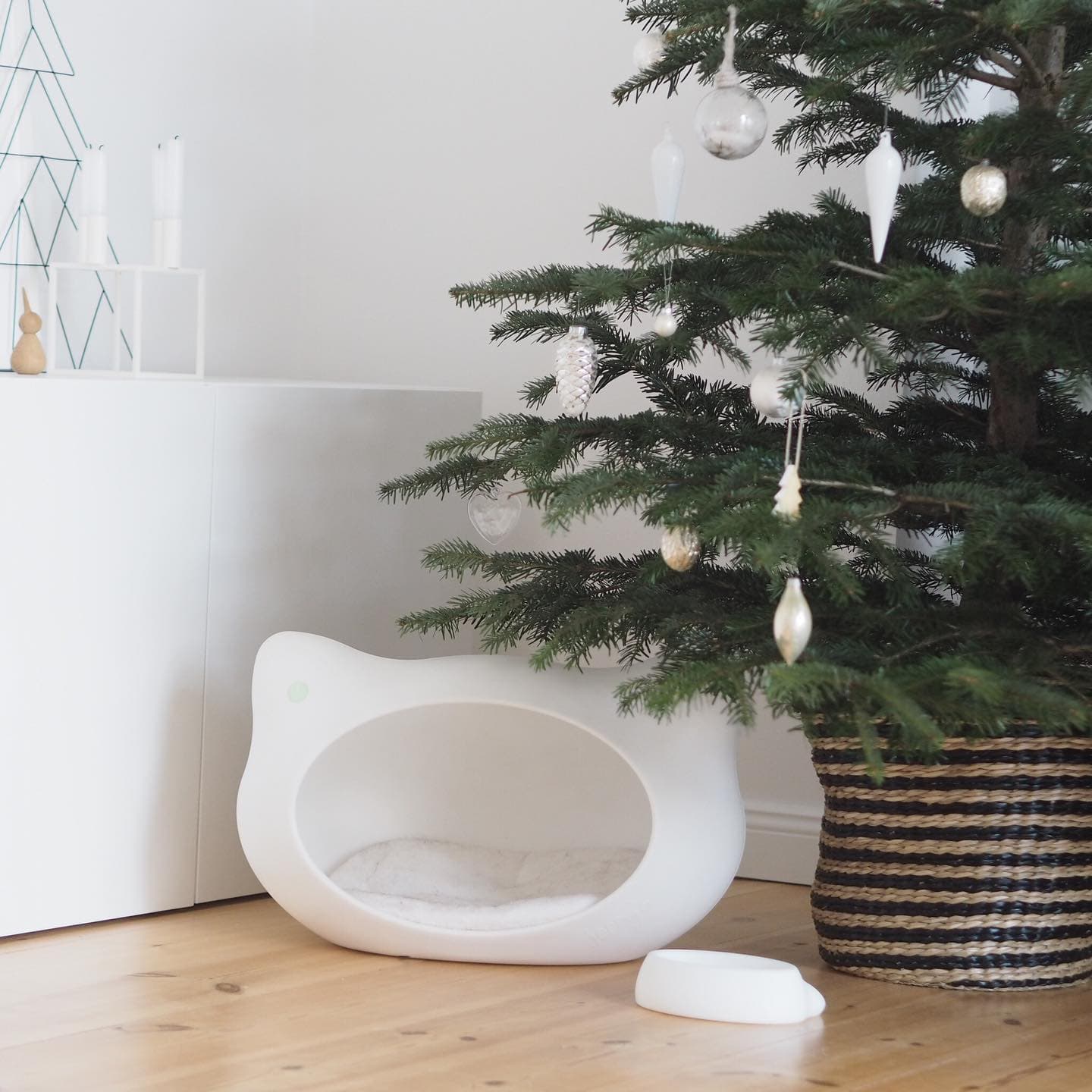 Eine entspannte und tolle Weihnachtszeit 😸 Leider ist diese Zeit für Tierheime auch immer eine Hochzeit im negativen Si