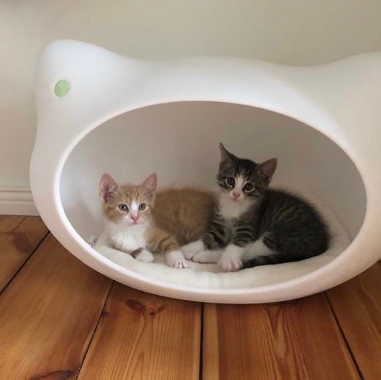 In jeder Hütte ist Platz für Zwei. Ist ohnehin viel gemütlicher 😻 👉 Repost: @instatina2016